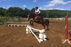 GES - ArenaKleen®  Ready to use organic sprayable  dust control for riding arenas