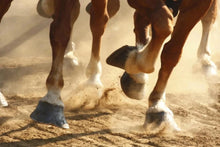 Load image into Gallery viewer, GES - ArenaKleen®  Ready to use organic sprayable  dust control for riding arenas